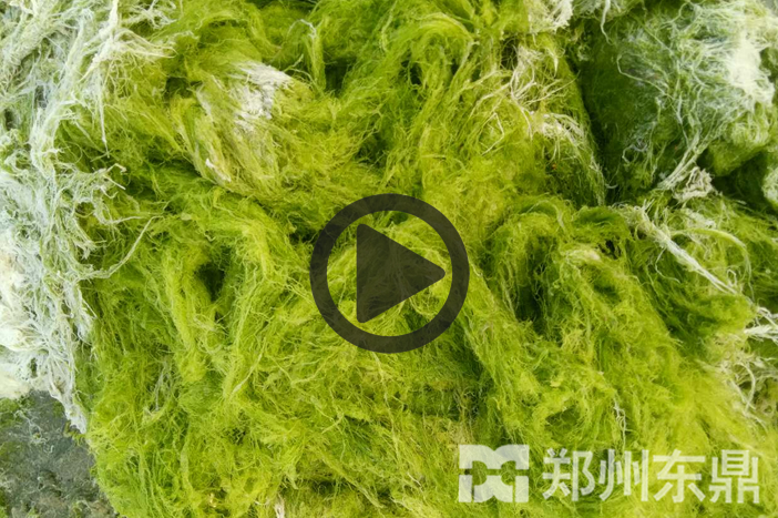 滸苔烘干機(jī)視頻現(xiàn)場(chǎng)