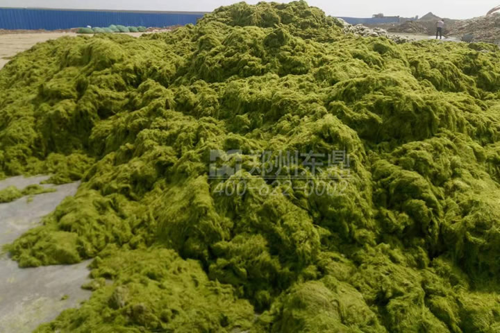牧草烘干機(jī)如何科學(xué)選型？牧草烘干過程中營養(yǎng)成分會(huì)流失嗎