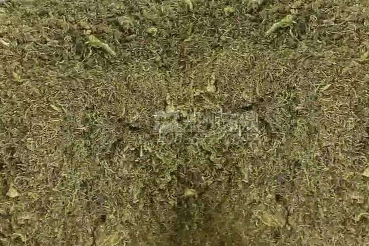 牧草烘干機(jī)如何科學(xué)選型？牧草烘干過程中營養(yǎng)成分會(huì)流失嗎